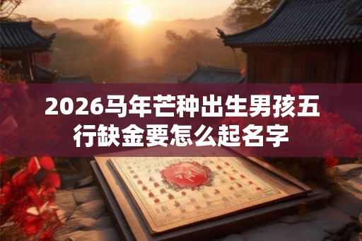 2026马年芒种出生男孩五行缺金要怎么起名字 2026马年芒种出生男孩五行缺金要怎么起名字