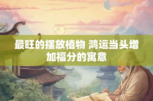 最旺的摆放植物 鸿运当头增加福分的寓意