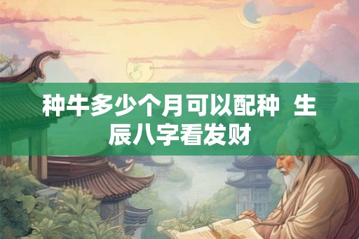 种牛多少个月可以配种  生辰八字看发财