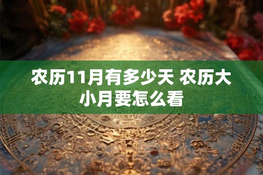 农历11月有多少天 农历大小月要怎么看
