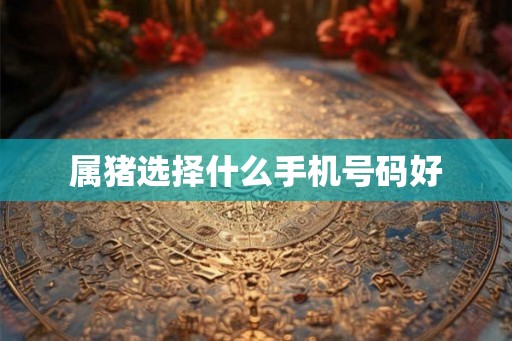 属猪选择什么手机号码好
