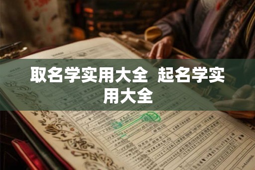 取名学实用大全  起名学实用大全
