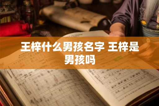 王梓什么男孩名字 王梓是男孩吗