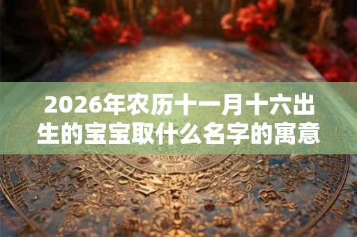 2026年农历十一月十六出生的宝宝取什么名字的寓意好？