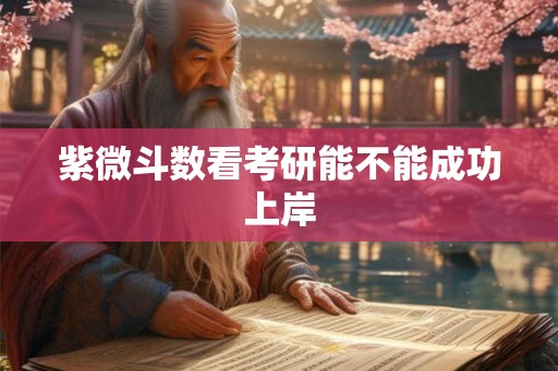 紫微斗数看考研能不能成功上岸