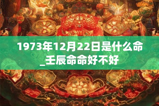 1973年12月22日是什么命_壬辰命命好不好