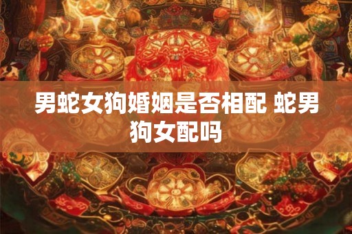 男蛇女狗婚姻是否相配 蛇男狗女配吗