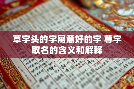 草字头的字寓意好的字 荨字取名的含义和解释 草字头的字寓意好的字 荨字取名的含义和解释