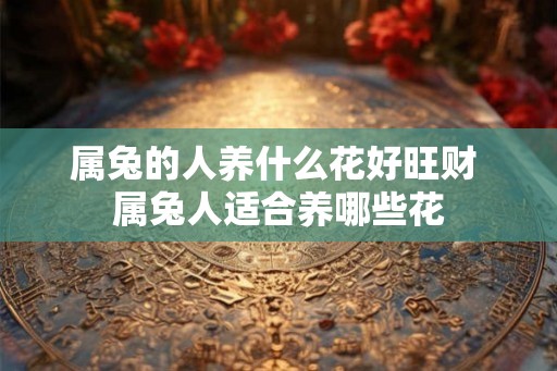 属兔的人养什么花好旺财 属兔人适合养哪些花