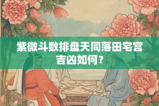 紫微斗数排盘天同落田宅宫吉凶如何？