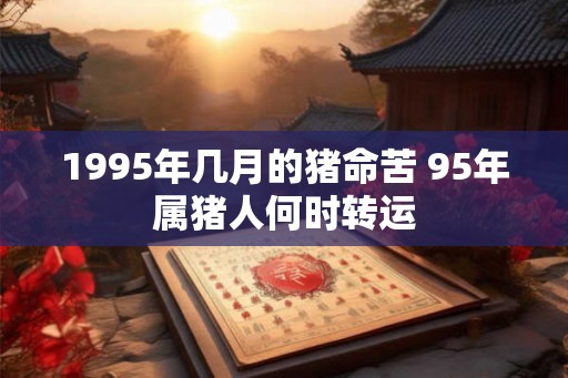 1995年几月的猪命苦 95年属猪人何时转运