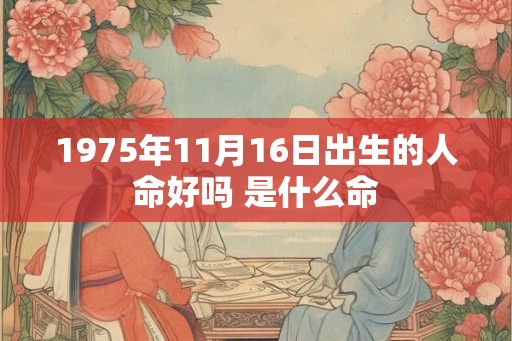 1975年11月16日出生的人命好吗 是什么命