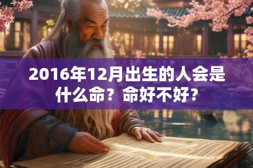 2016年12月出生的人会是什么命？命好不好？