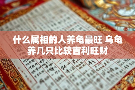 什么属相的人养龟最旺 乌龟养几只比较吉利旺财