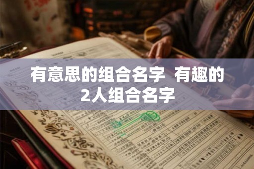 有意思的组合名字  有趣的2人组合名字