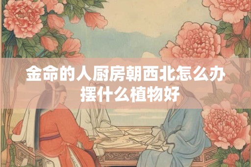 金命的人厨房朝西北怎么办  摆什么植物好
