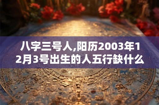 八字三号人,阳历2003年12月3号出生的人五行缺什么
