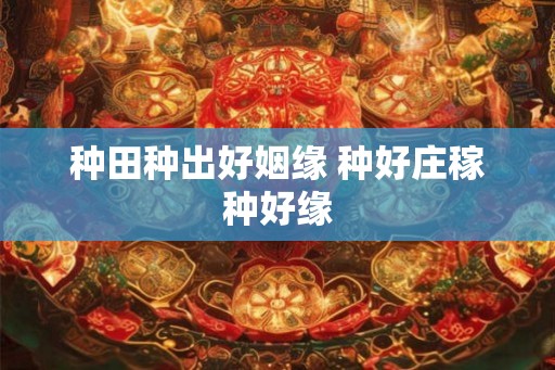 种田种出好姻缘 种好庄稼种好缘