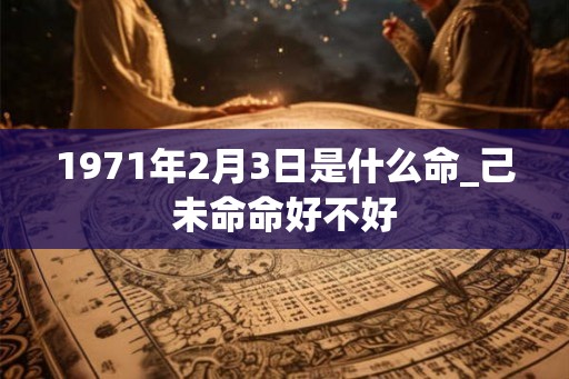 1971年2月3日是什么命_己未命命好不好