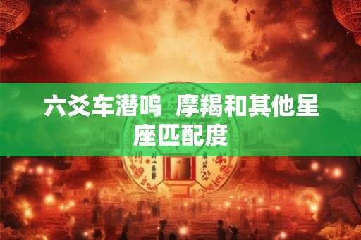 六爻车潜鸣  摩羯和其他星座匹配度