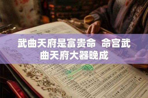武曲天府是富贵命 命宫武曲天府大器晚成 武曲天府是富贵命 命宫武曲天府大器晚成