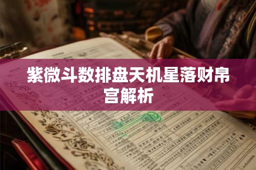紫微斗数排盘天机星落财帛宫解析