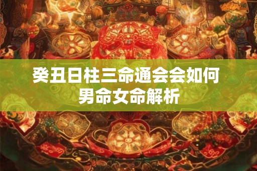 癸丑日柱三命通会会如何 男命女命解析