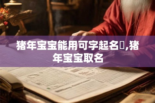 猪年宝宝能用可字起名嚒,猪年宝宝取名