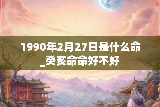 1990年2月27日是什么命_癸亥命命好不好