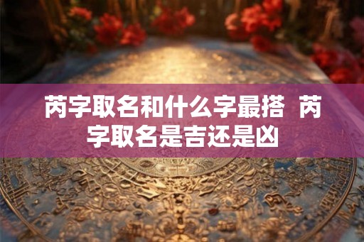 芮字取名和什么字最搭  芮字取名是吉还是凶