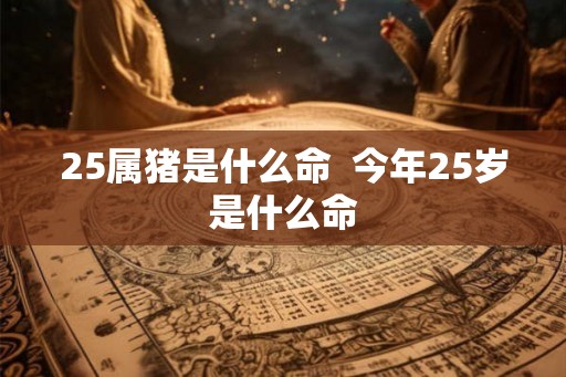 25属猪是什么命  今年25岁是什么命