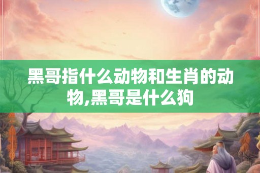 黑哥指什么动物和生肖的动物,黑哥是什么狗