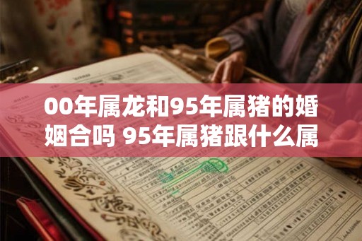 00年属龙和95年属猪的婚姻合吗 95年属猪跟什么属相配