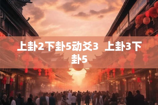上卦2下卦5动爻3  上卦3下卦5