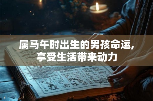 属马午时出生的男孩命运,享受生活带来动力