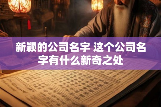 新颖的公司名字 这个公司名字有什么新奇之处