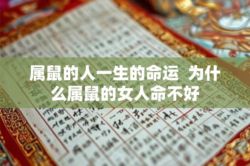 属鼠的人一生的命运  为什么属鼠的女人命不好