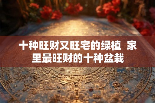 十种旺财又旺宅的绿植  家里最旺财的十种盆栽