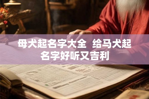 母犬起名字大全  给马犬起名字好听又吉利