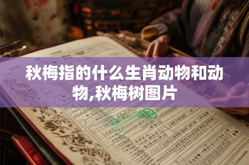 秋梅指的什么生肖动物和动物,秋梅树图片