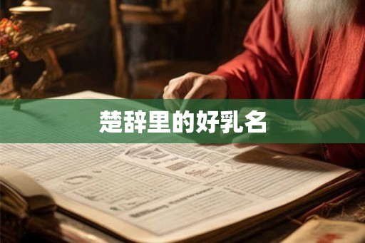 楚辞里的好乳名