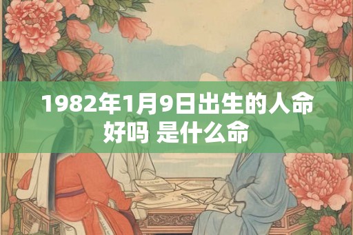 1982年1月9日出生的人命好吗 是什么命