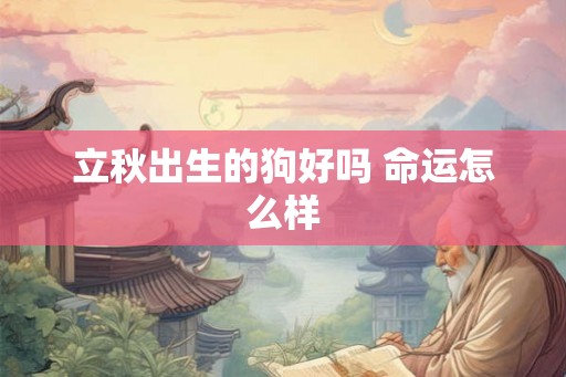 立秋出生的狗好吗 命运怎么样 立秋出生的狗好吗 命运怎么样