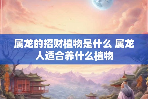 属龙的招财植物是什么 属龙人适合养什么植物