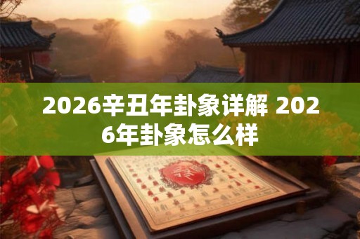 2026辛丑年卦象详解 2026年卦象怎么样