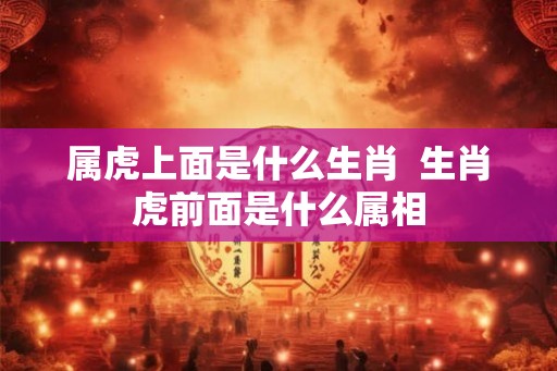 属虎上面是什么生肖 生肖虎前面是什么属相 属虎上面是什么生肖 生肖虎前面是什么属相