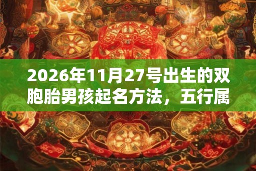 2026年11月27号出生的双胞胎男孩起名方法，五行属什么