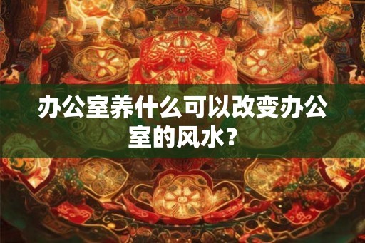 办公室养什么可以改变办公室的风水？