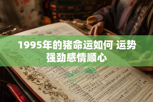 1995年的猪命运如何 运势强劲感情顺心 1995年的猪命运如何 运势强劲感情顺心