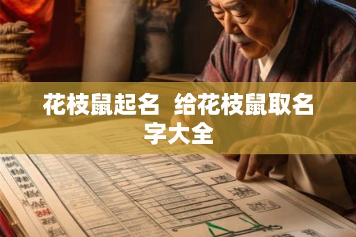花枝鼠起名  给花枝鼠取名字大全